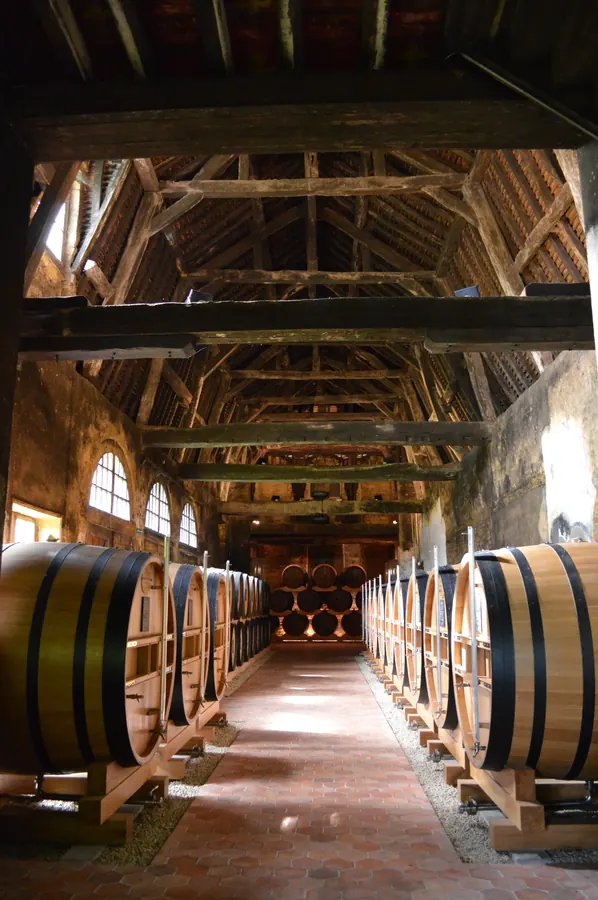 Cognac