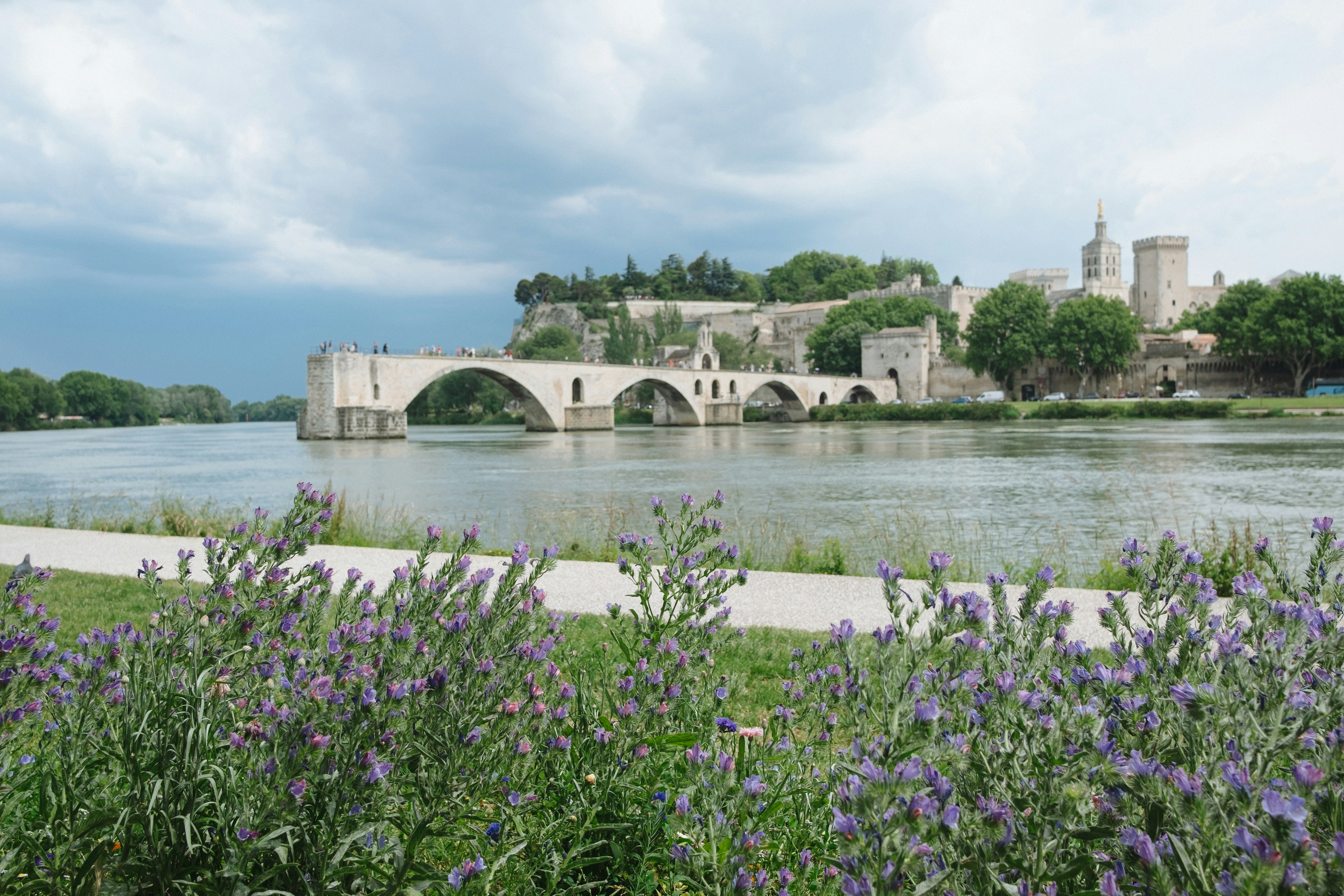 Avignon, Palais des Papes et Pont Saint-Bénézet en Vaucluse